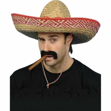 2x mexicaanse sombrero fiesta